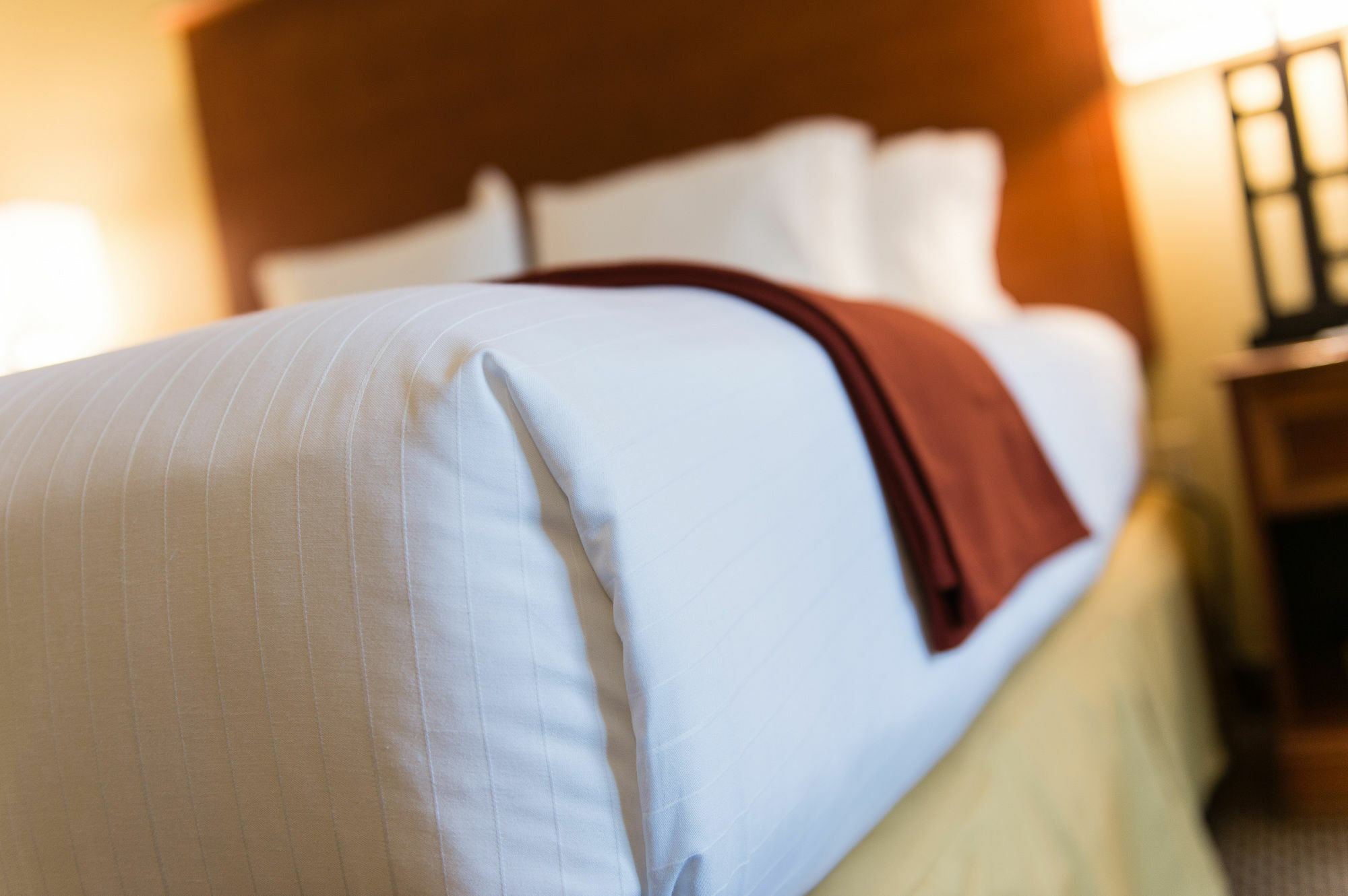 Holiday Inn Express & Suites Columbia-I-26 @ Harbison Blvd By Ihg Zewnętrze zdjęcie